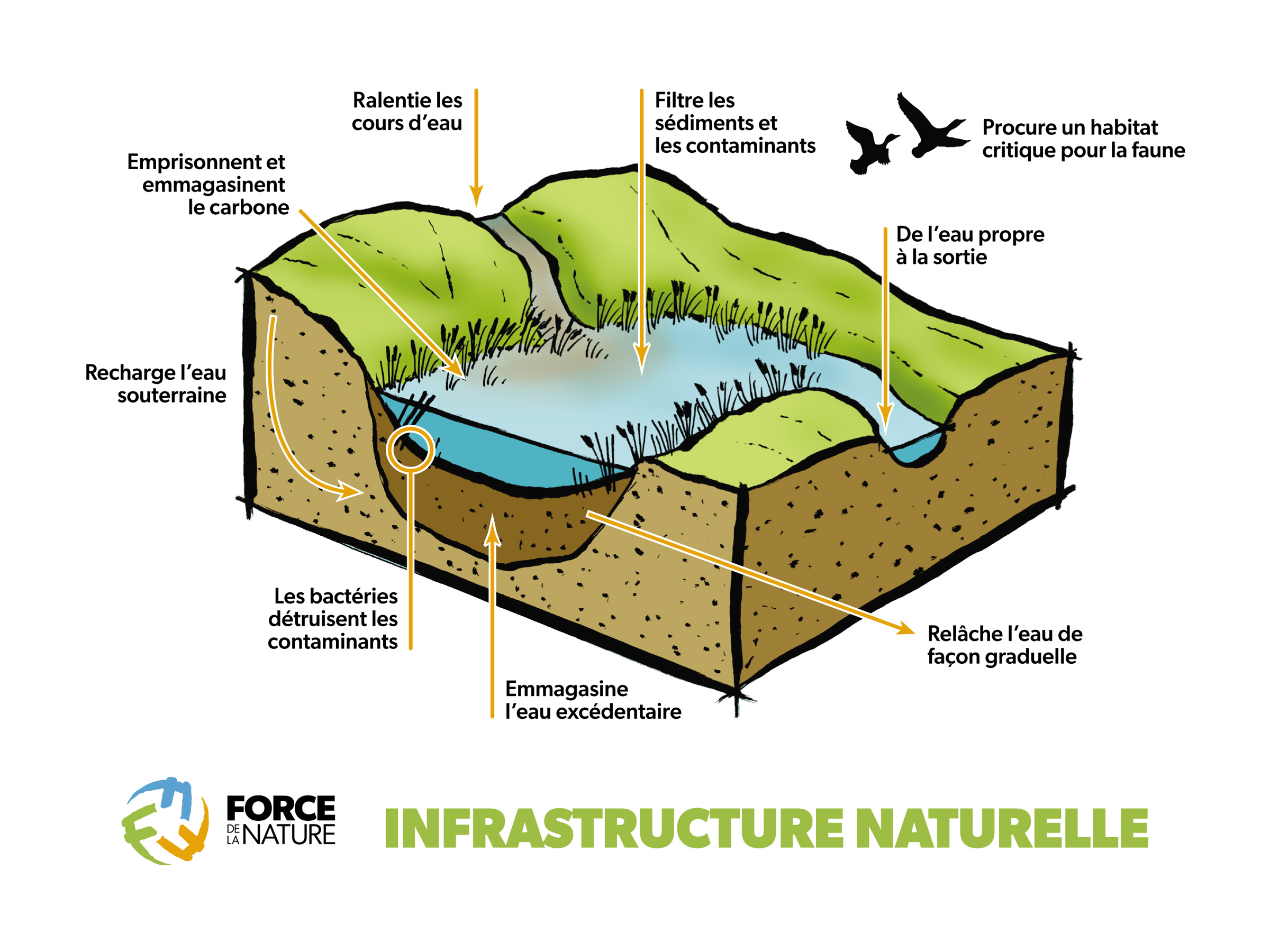 Natural Infrastructure
