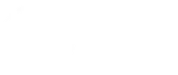 NF Logo