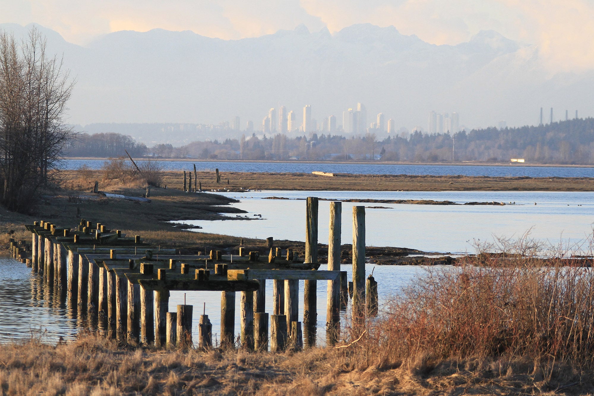 A wetland along the city to take action