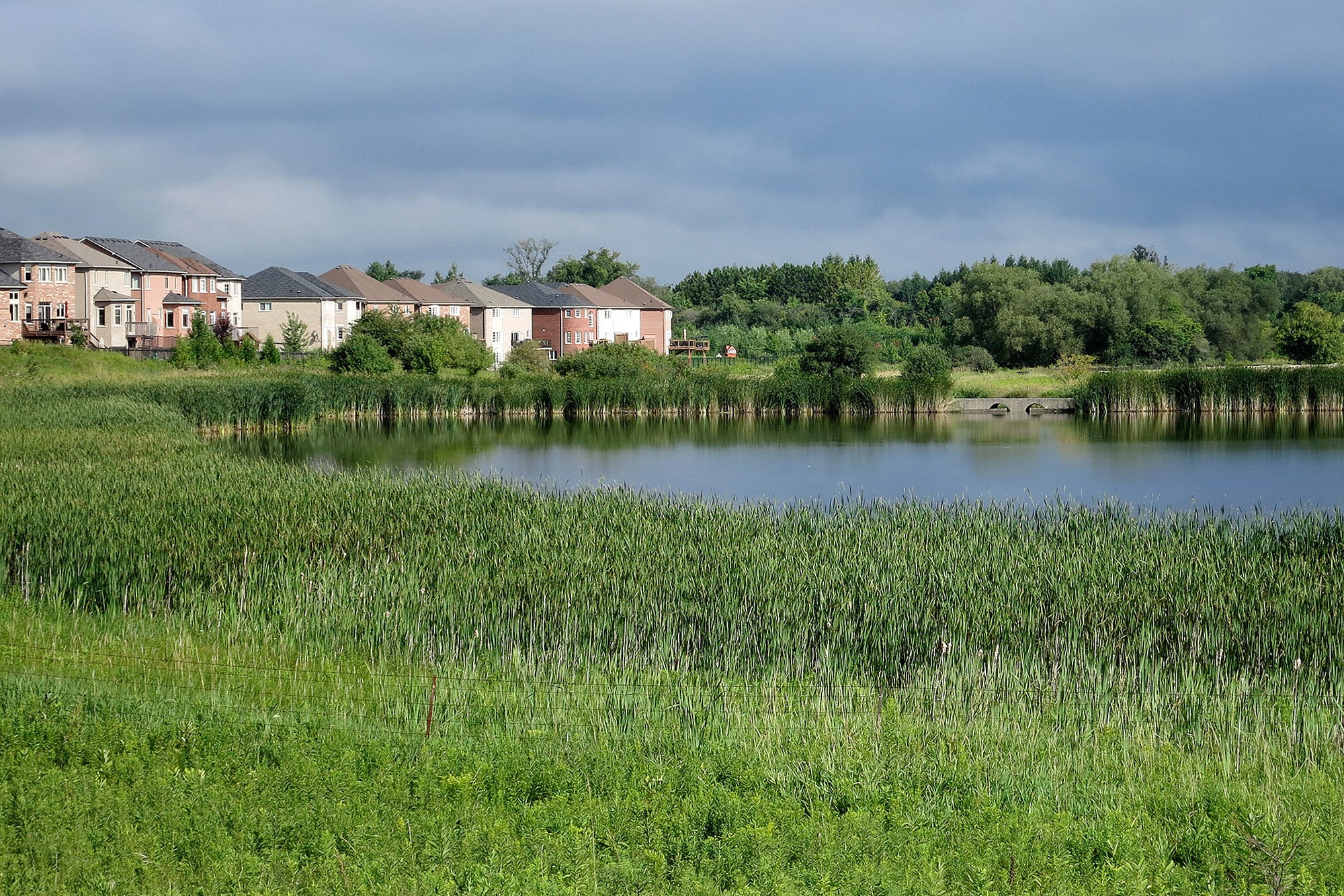 Advocacy for nature based infrastructure